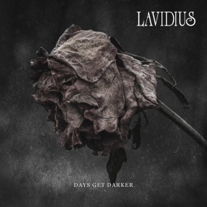 lavidius single