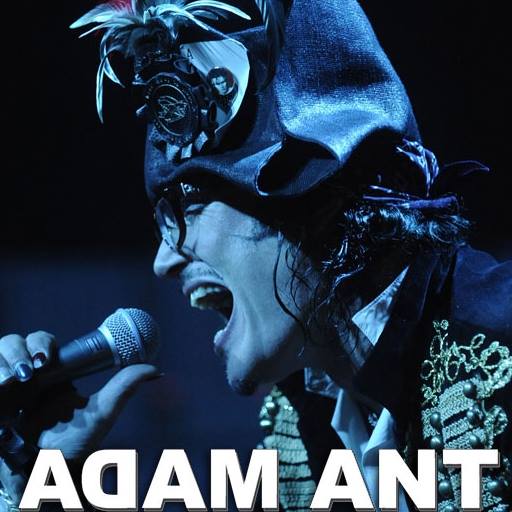 Adam Ant