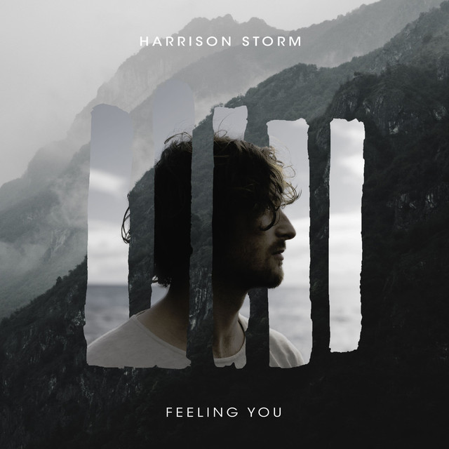 Harrison Storm