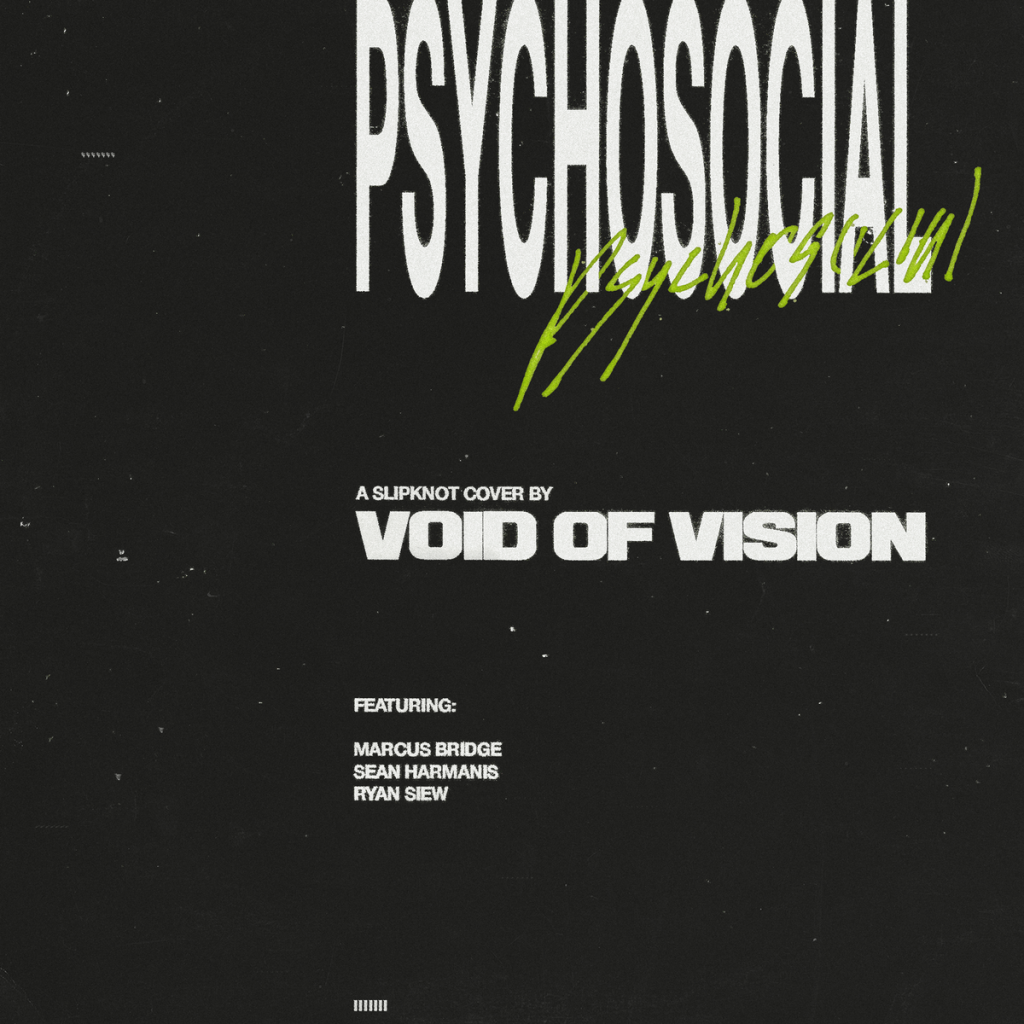 Void of Vision album cover