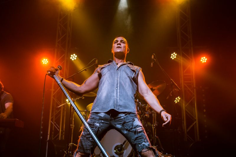 SHANNON NOLL