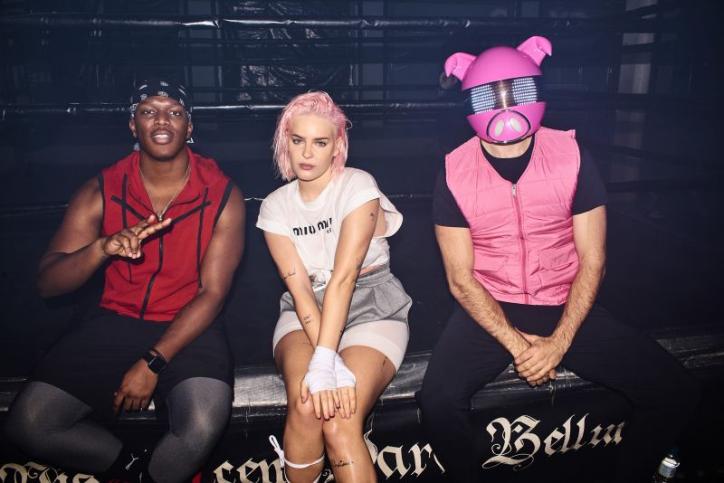 ANNE-MARIE, KSI, DIGITAL FARM ANIMALS