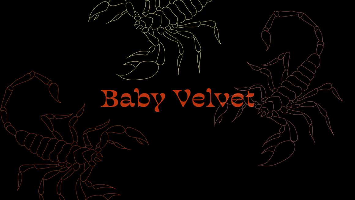 Baby Velvet