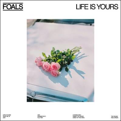 Foals