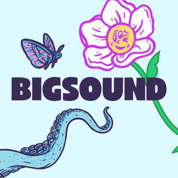 Bigsound