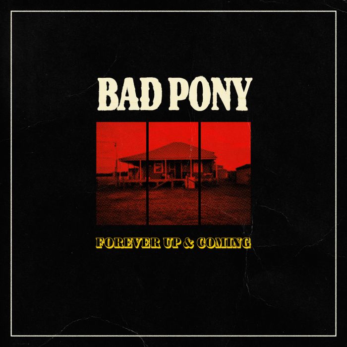 badpony