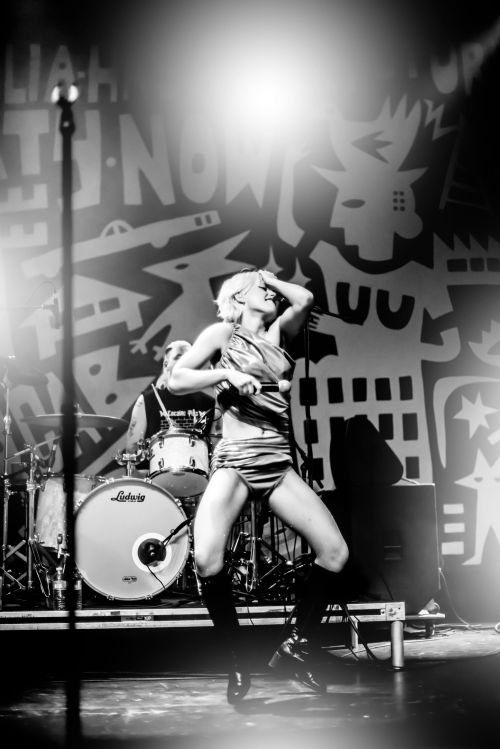 AMYL AND THE SNIFFERS