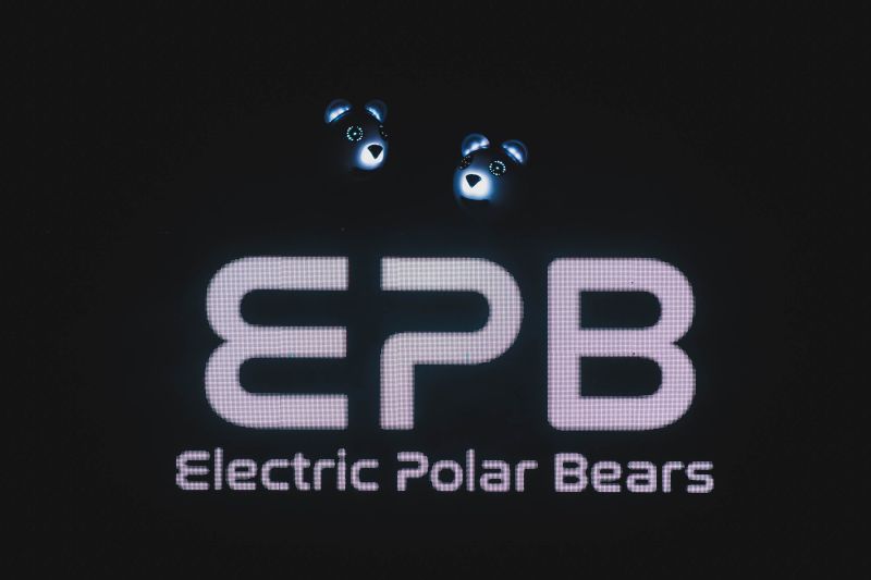 Electric Polar Bears