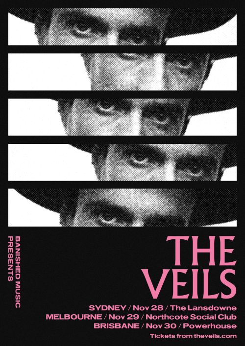 THE VEILS 