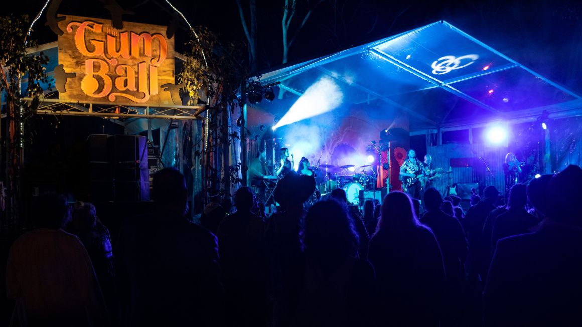 THE GUM BALL MUSIC & ARTS FESTIVAL 2024 The 19th Edition announces