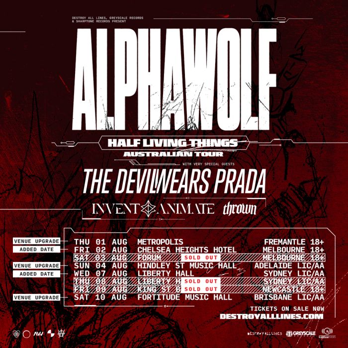 Alpha Wolf