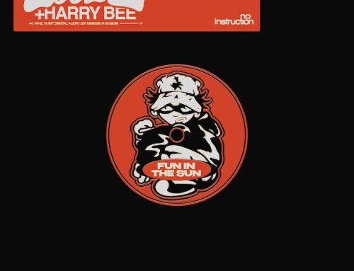 Introducing NO INSTRUCTION: The new imprint and Club Brand from LUUDE and FRIENDS – LUUDE teams up with HARRY BEE for the debut release ‘FUN IN THE SUN’