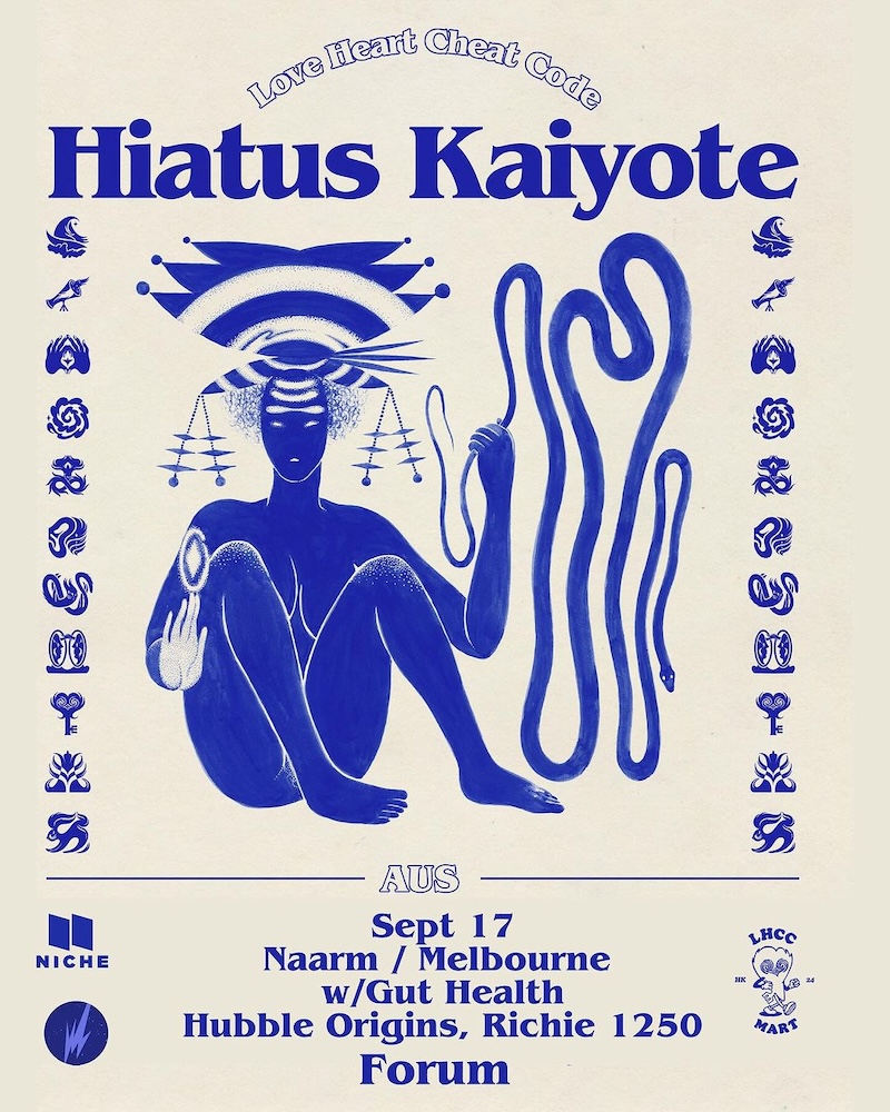 Hiatus Kaiyote