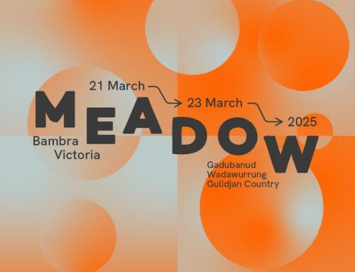 MEADOW 10 returns for 2025 announcing it will be the final festival at the Bambra Bowl + Announces first act, MJ Lenderman (USA)