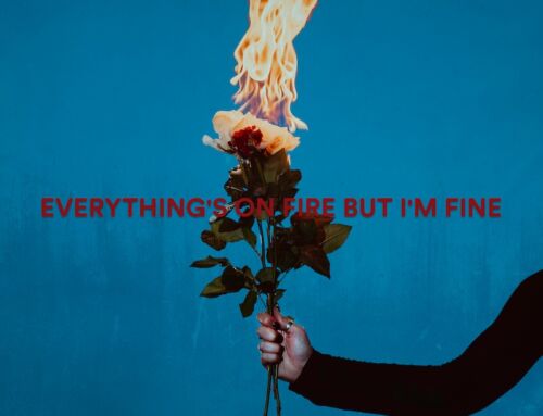 AS DECEMBER FALLS announce new album “EVERYTHING’S ON FIRE BUT I’M FINE” and kick off 2025 with new single “THERAPY” – Debut Australian headline tour February 2025