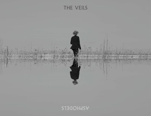 THE VEILS new album ‘ASPHODELS’ out now