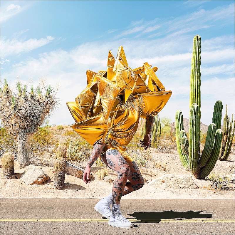 Shimmer, Gerwyn Davies, Open Doors