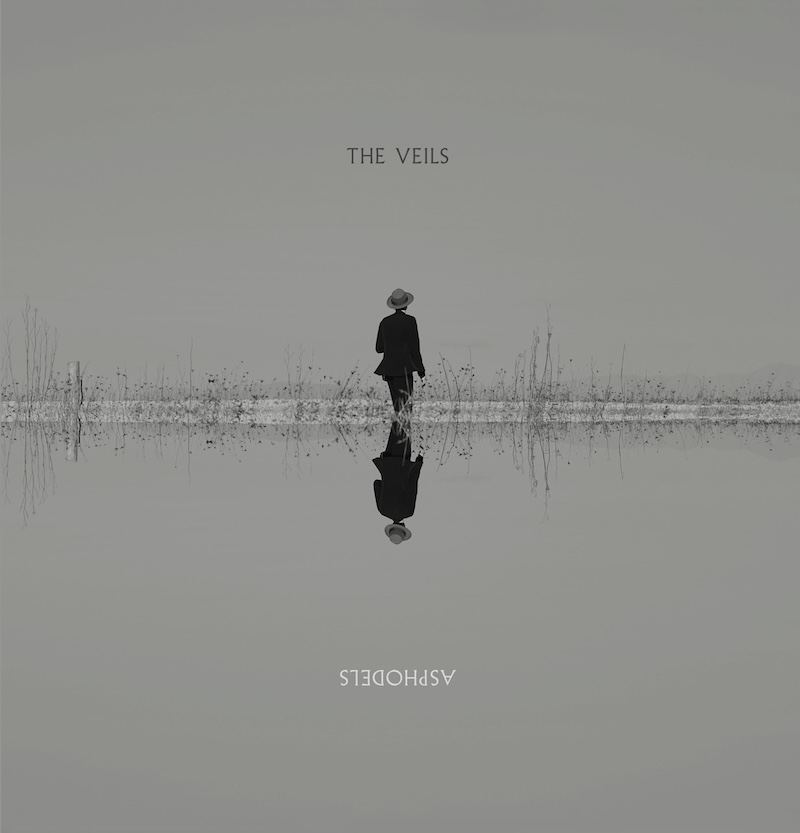 The Veils