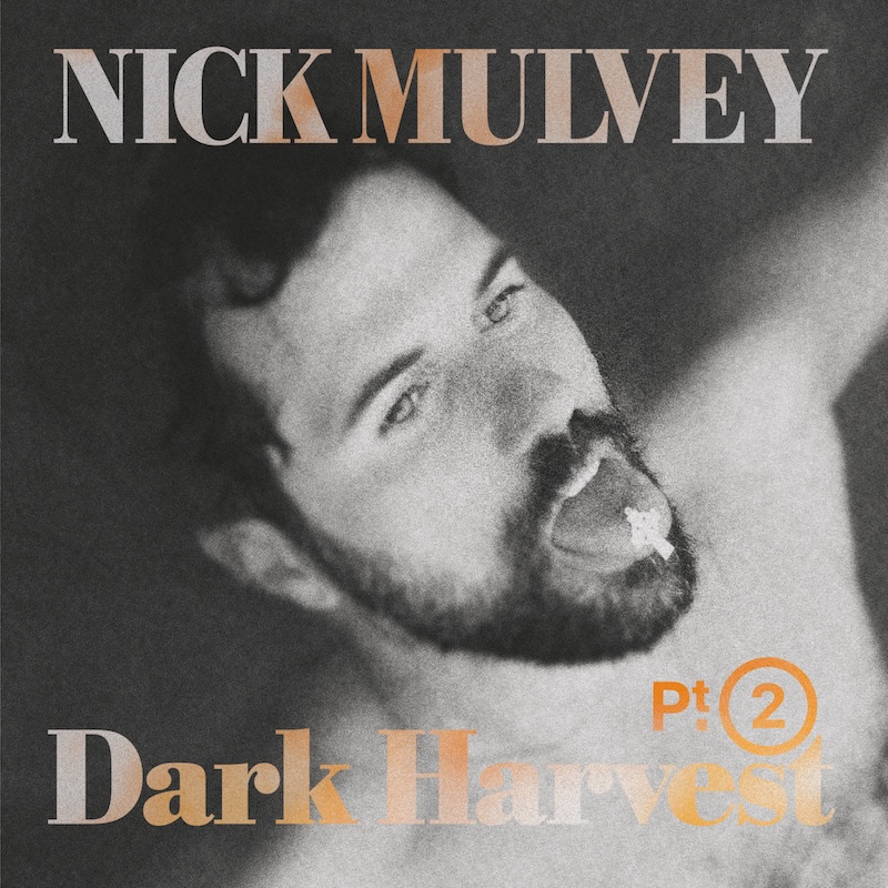 Nick Mulvey