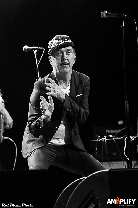 DAVE GRANEY AND THE CORAL SNAKES