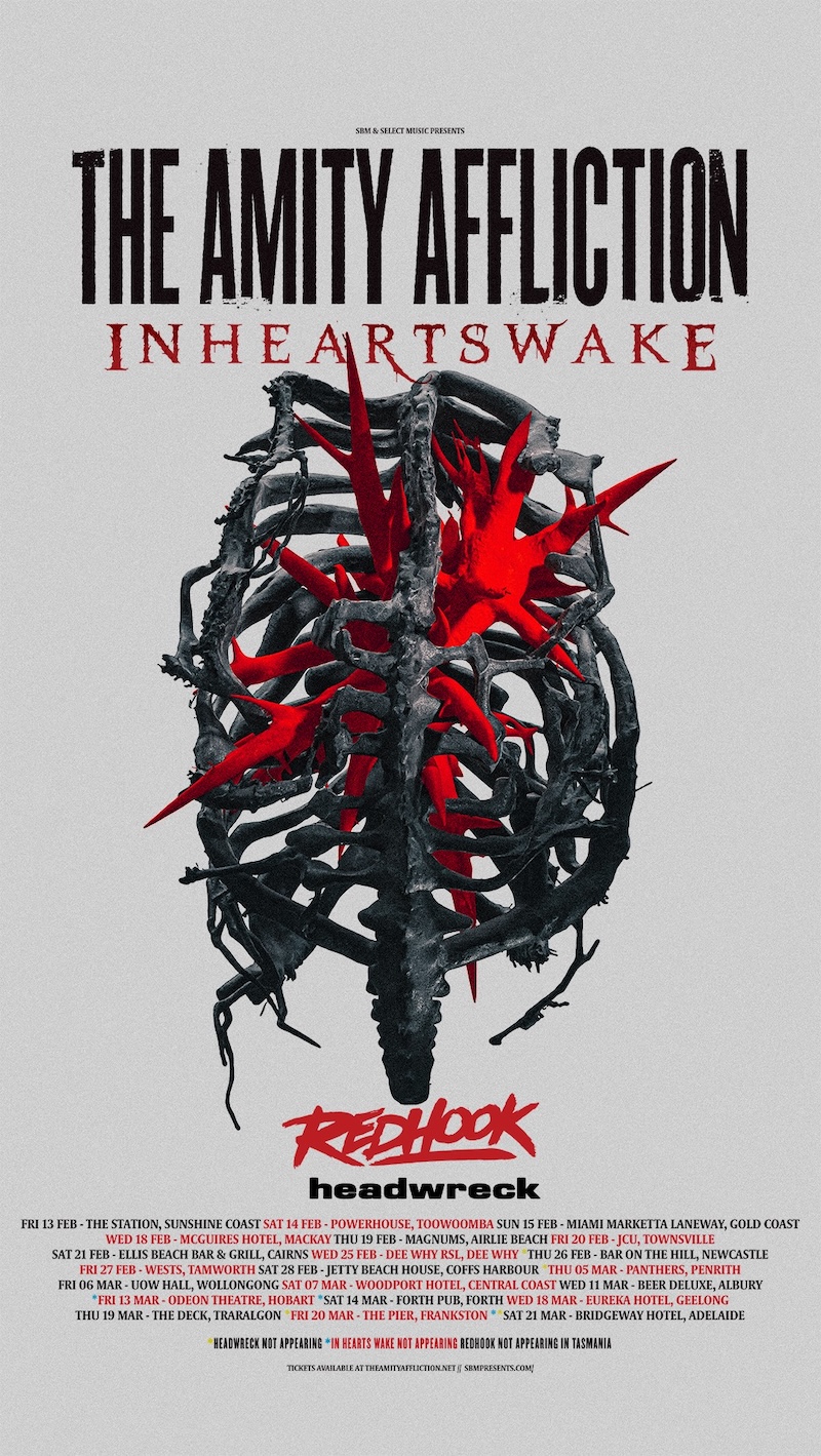 THE AMITY AFFLICTION