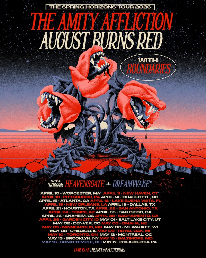 THE AMITY AFFLICTION