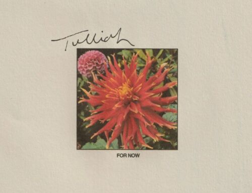 Interview with TULLIAH (12th January 2026)