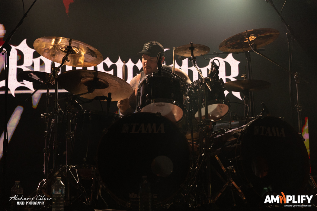 Bodysnatcher Bodysnatcher