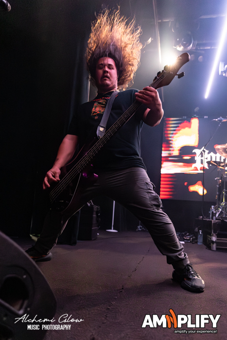 Bodysnatcher Bodysnatcher